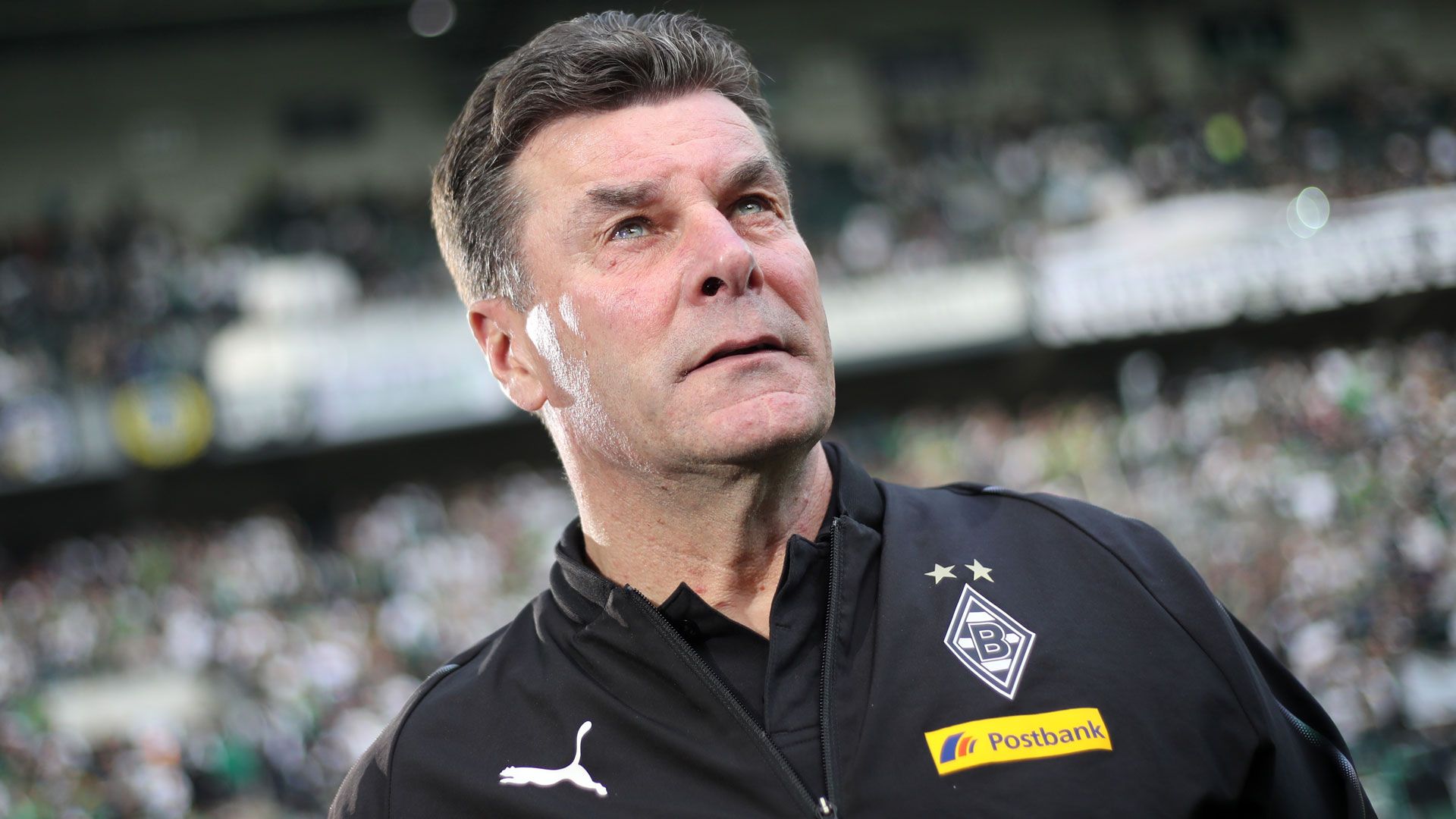 Dieter Hecking