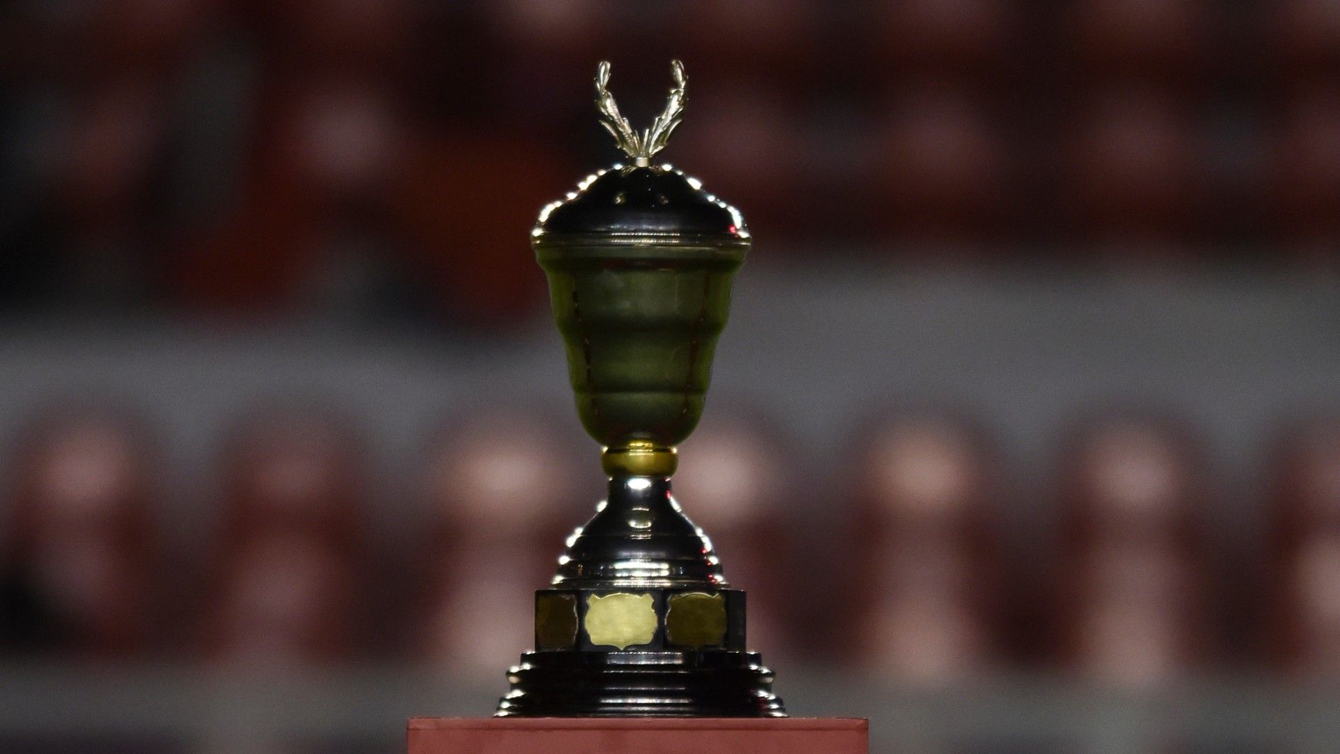 Supercopa Sudamericana Independiente