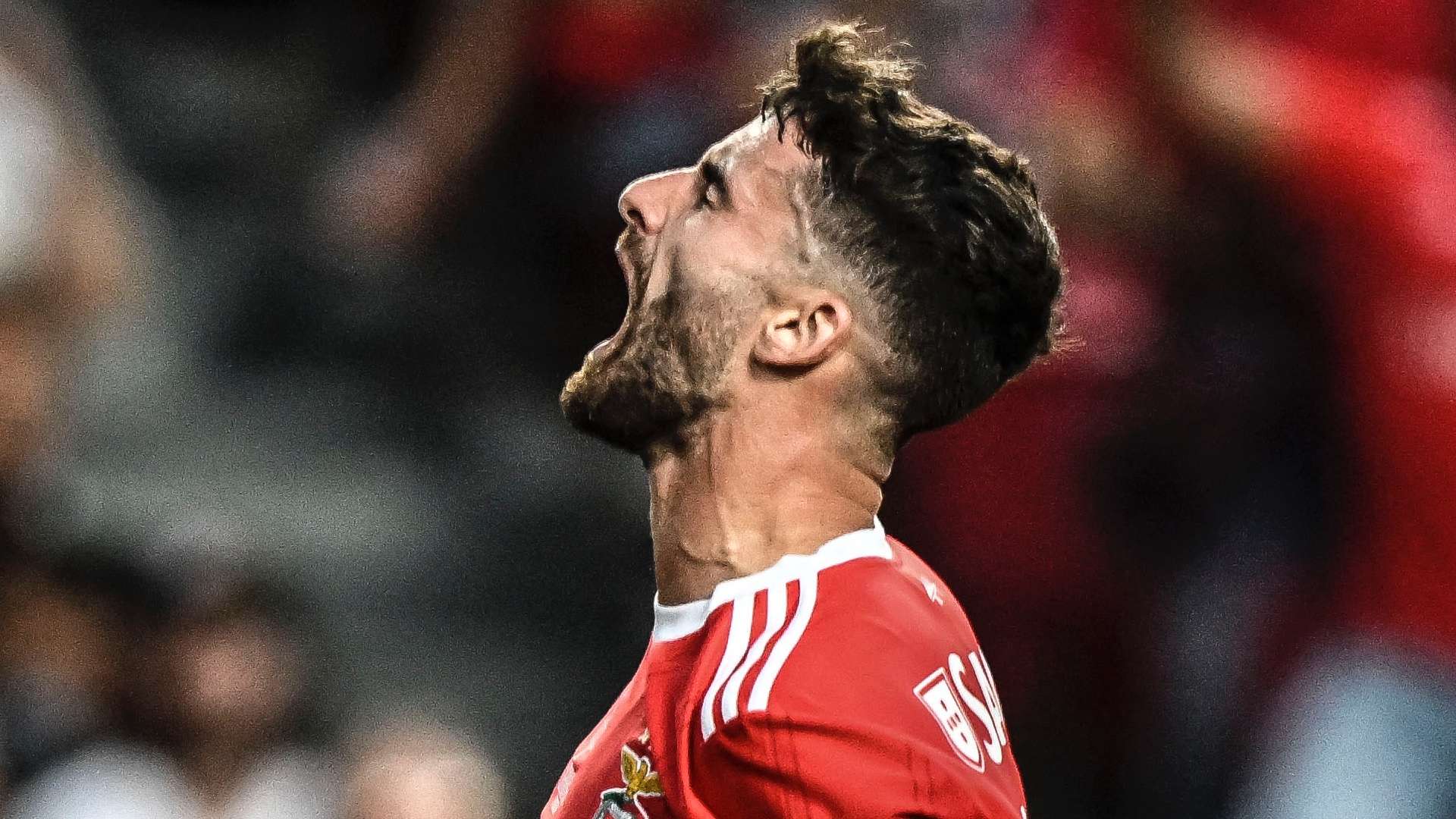 Rafa Silva Benfica 2022