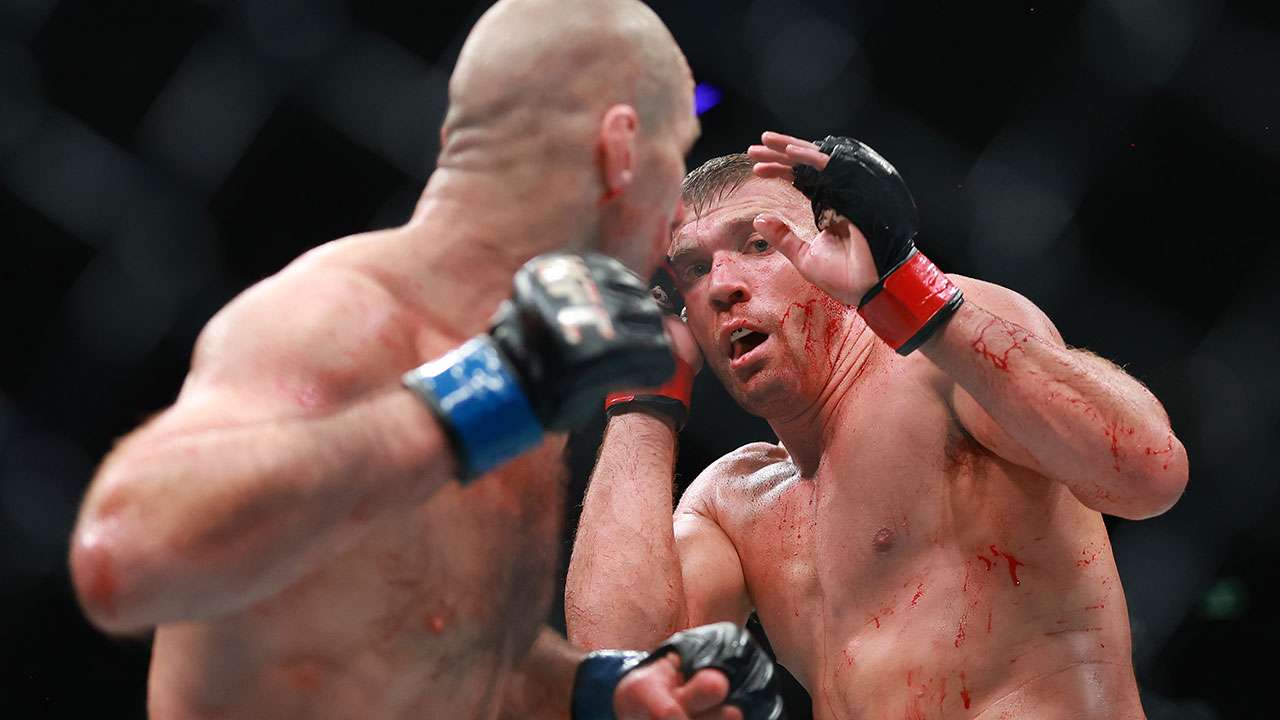 UFC, SEO