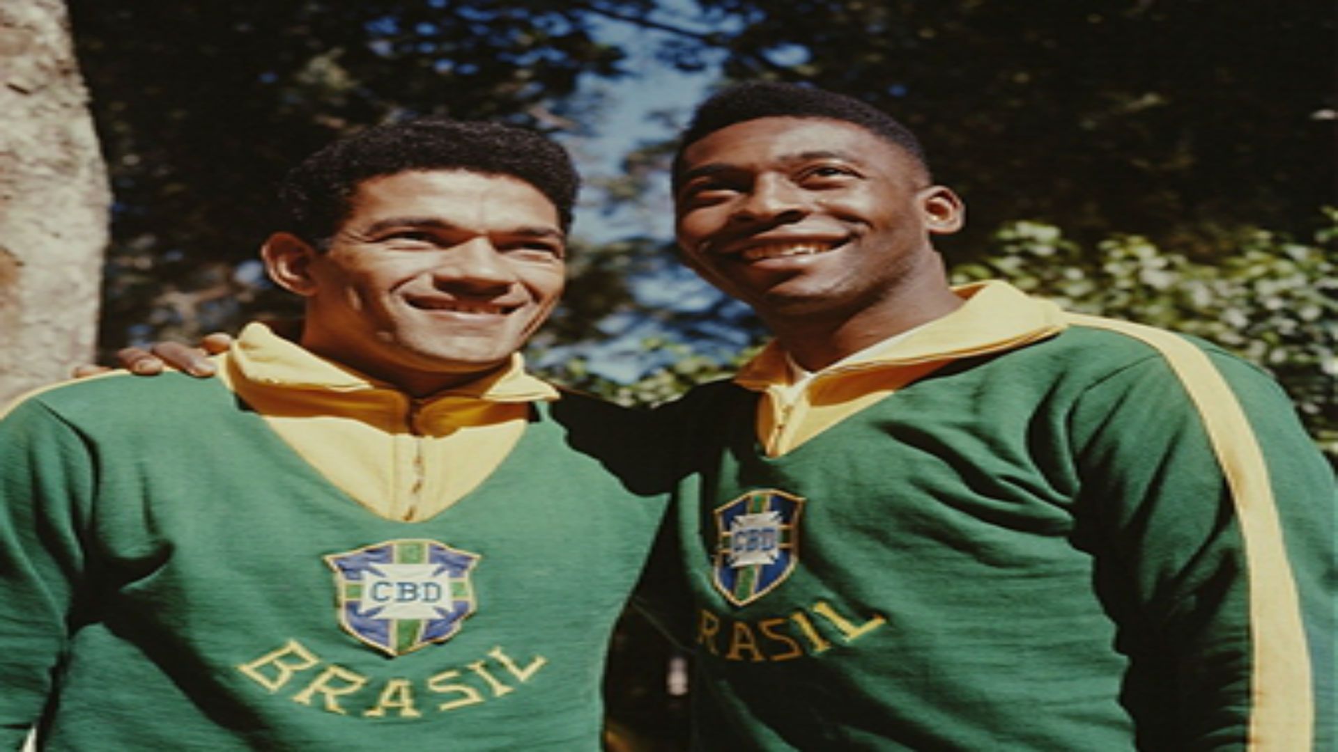 pele and garrincha