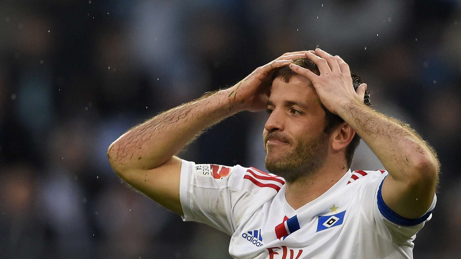 2018-03-02 2015 Van der Vaart HSV
