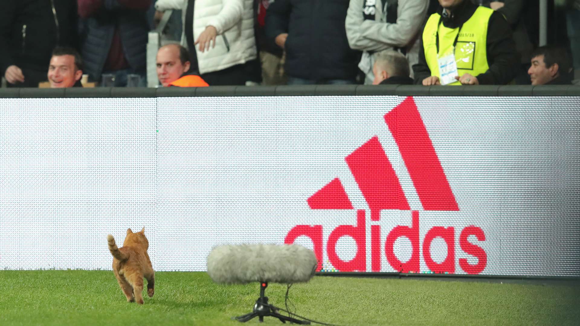 Cat Besiktas Bayern 14032018