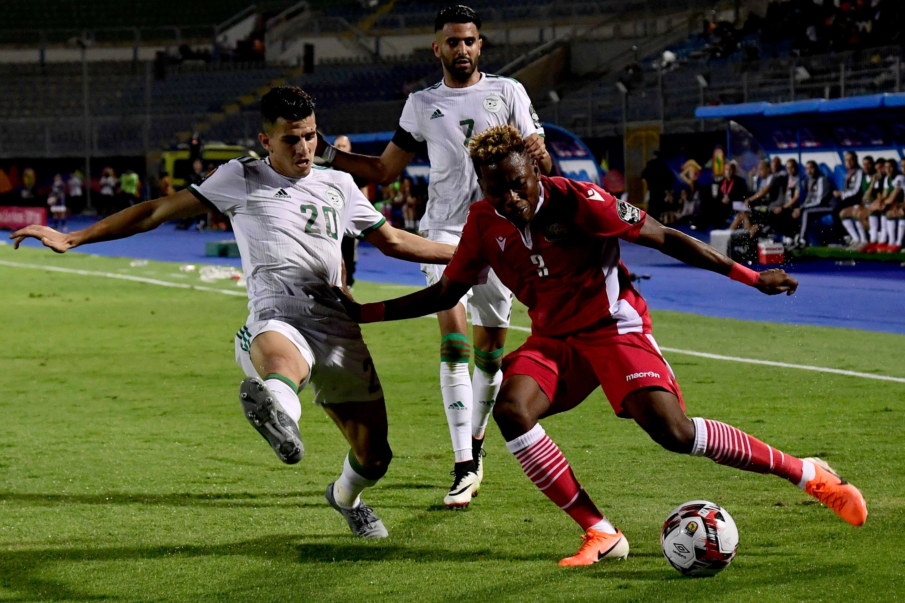 الجزائر - كينيا