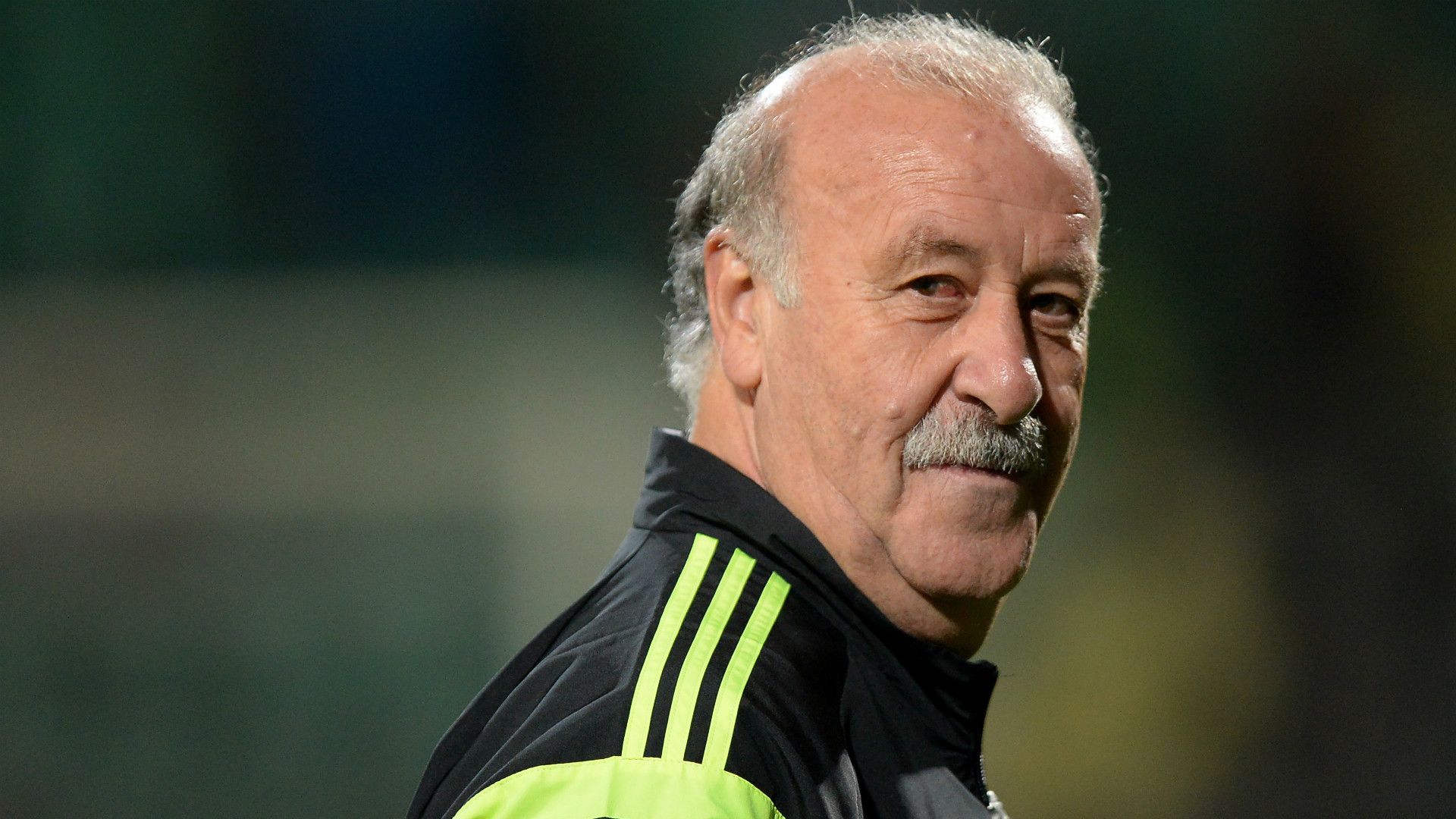 Vicente del Bosque Spain 10082014