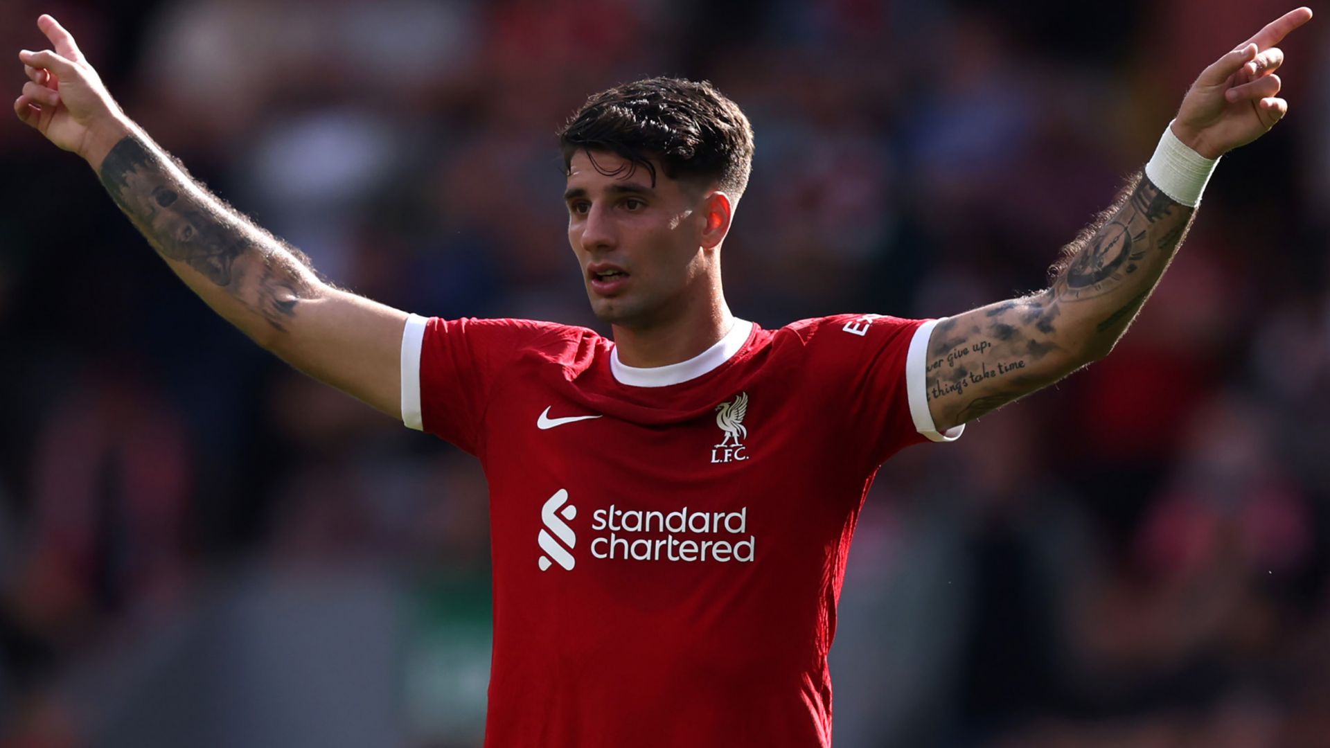 Dominik Szobozslai Liverpool 2023-24