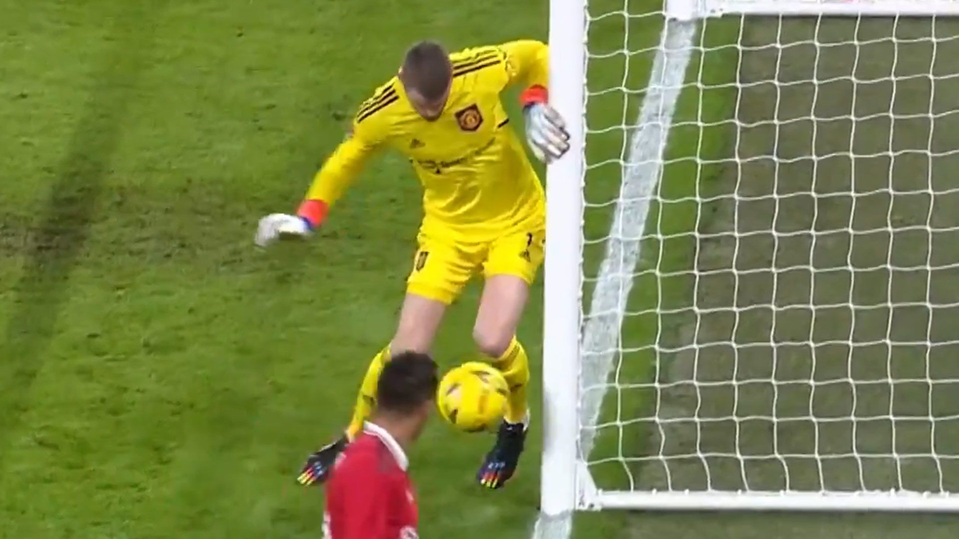 David de Gea Screenshot