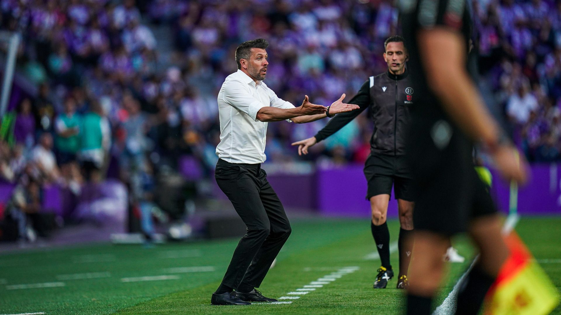 Paulo Pezzolano, entrenador del Real Valladolid