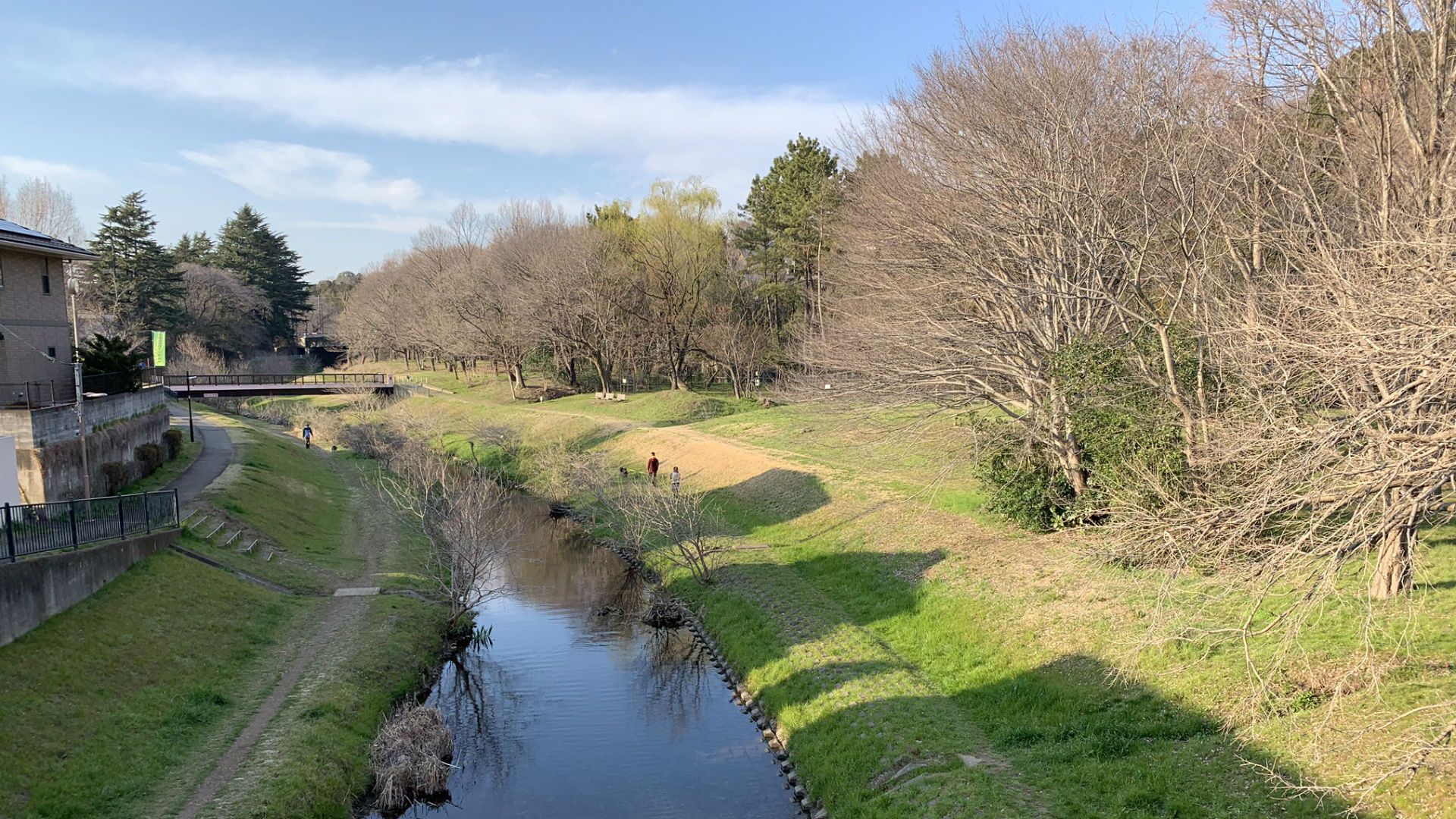 2019-03-18-harahiromi