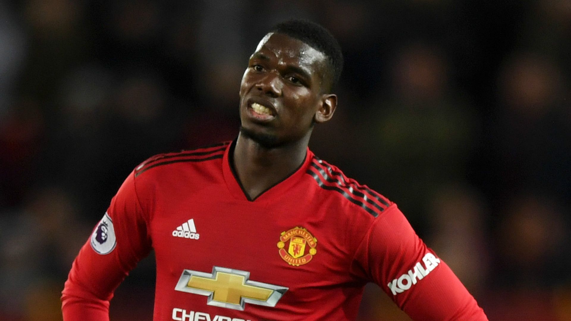 Paul Pogba Manchester United 2018-19