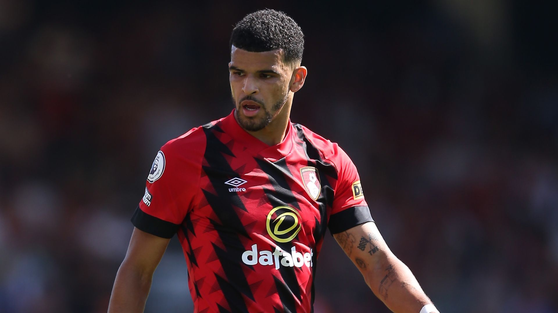 Dominic Solanke Bournemouth 2022-23