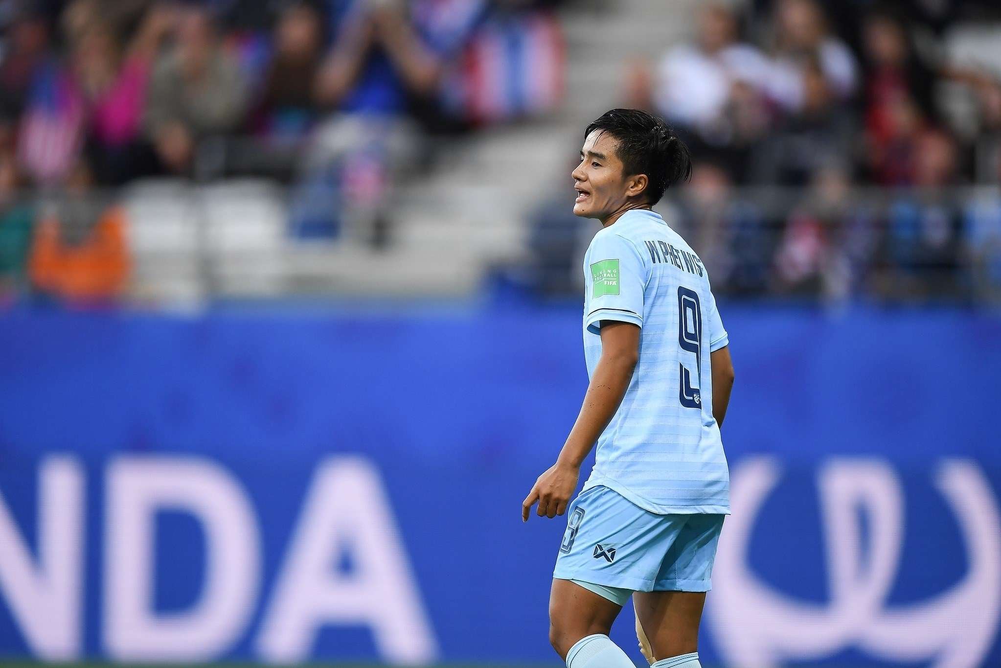 ชบาแก้ว