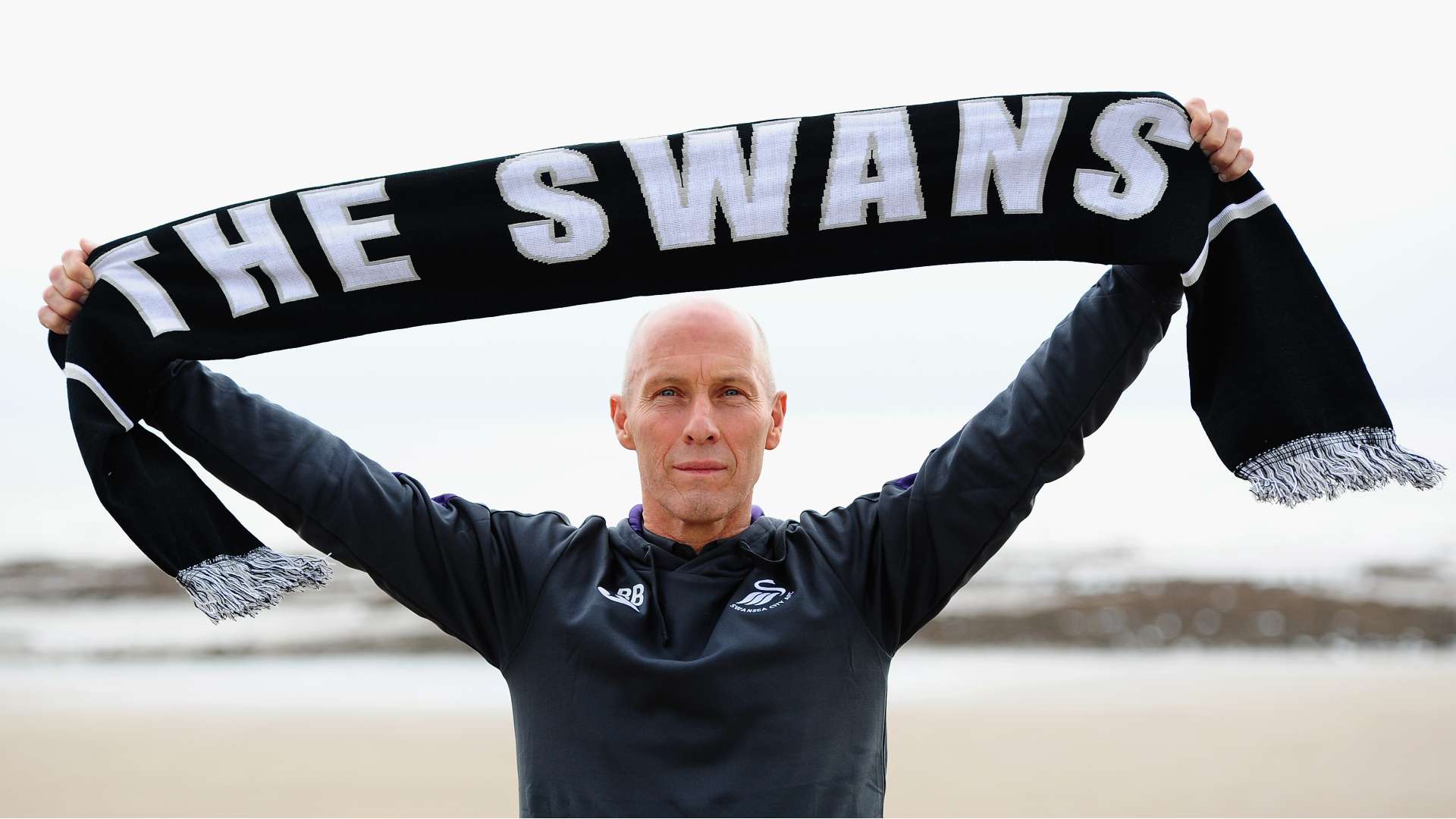 Bob Bradley Swansea manager