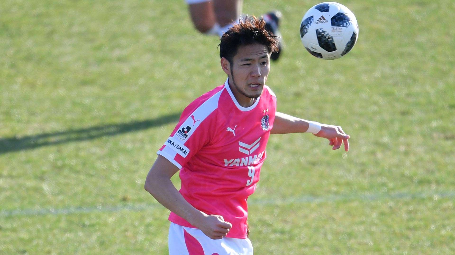 2018-03-10-cerezo-Sugimoto_Kenyu