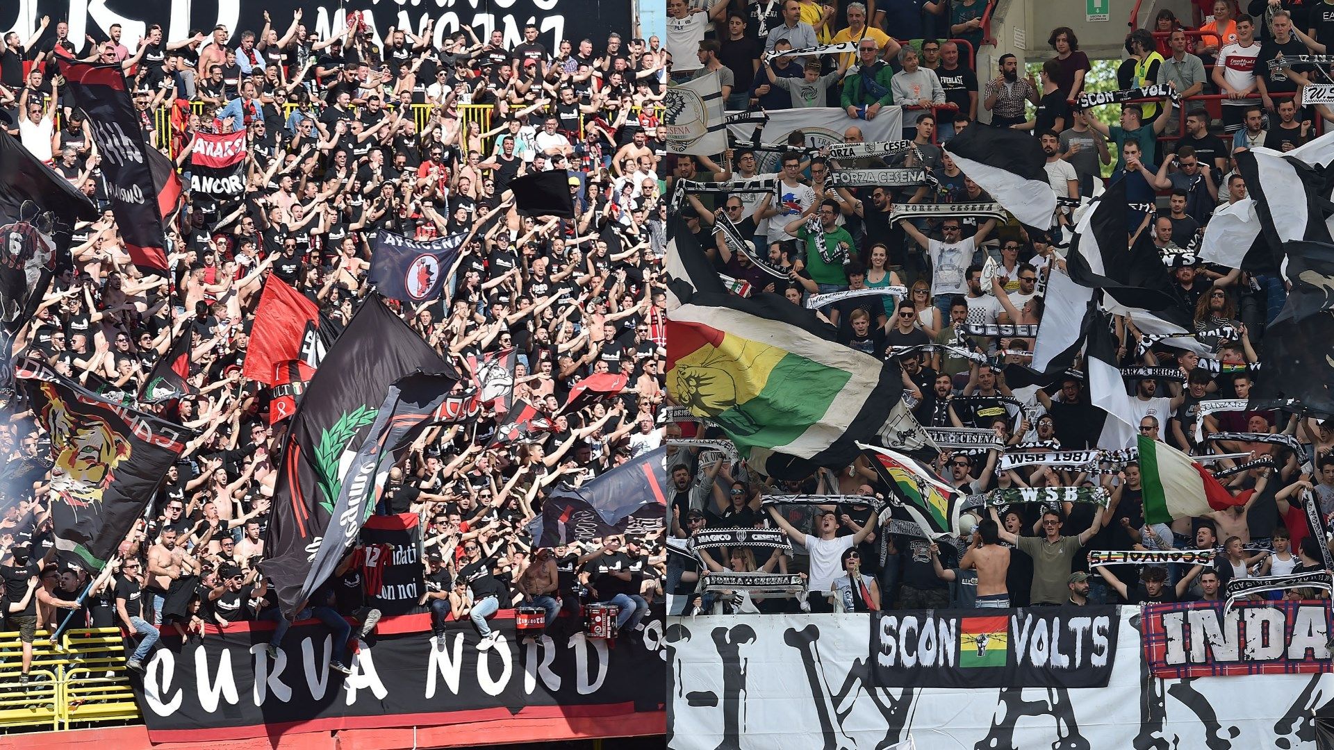 Tifosi Foggia Cesena