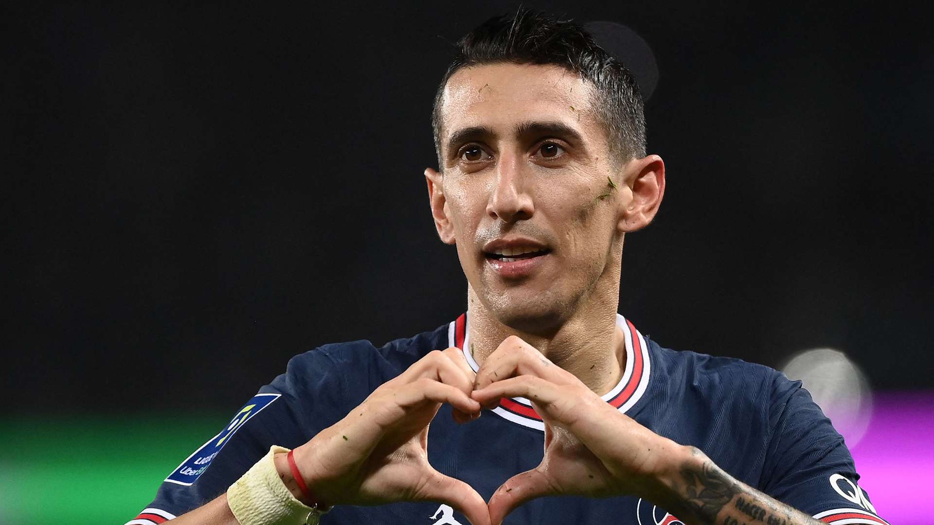 dimaria