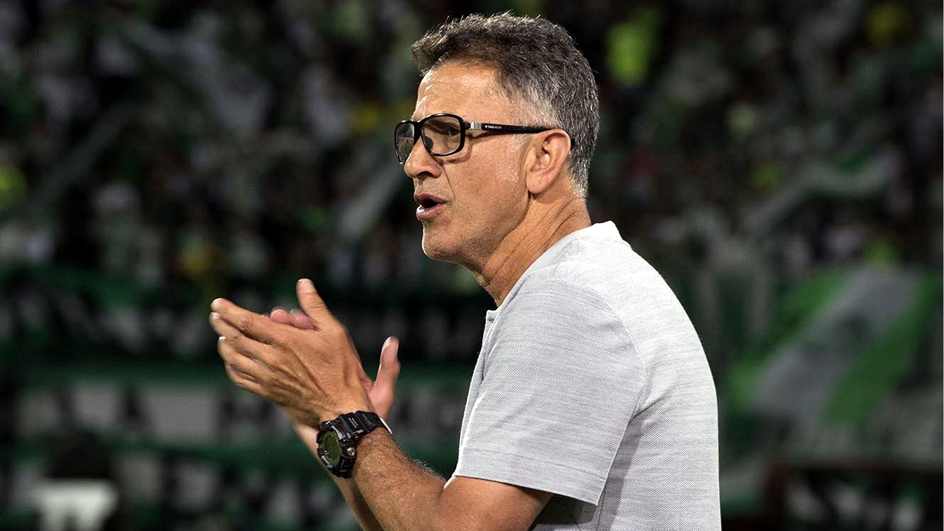 Juan Carlos Osorio Atlético Nacional 2019