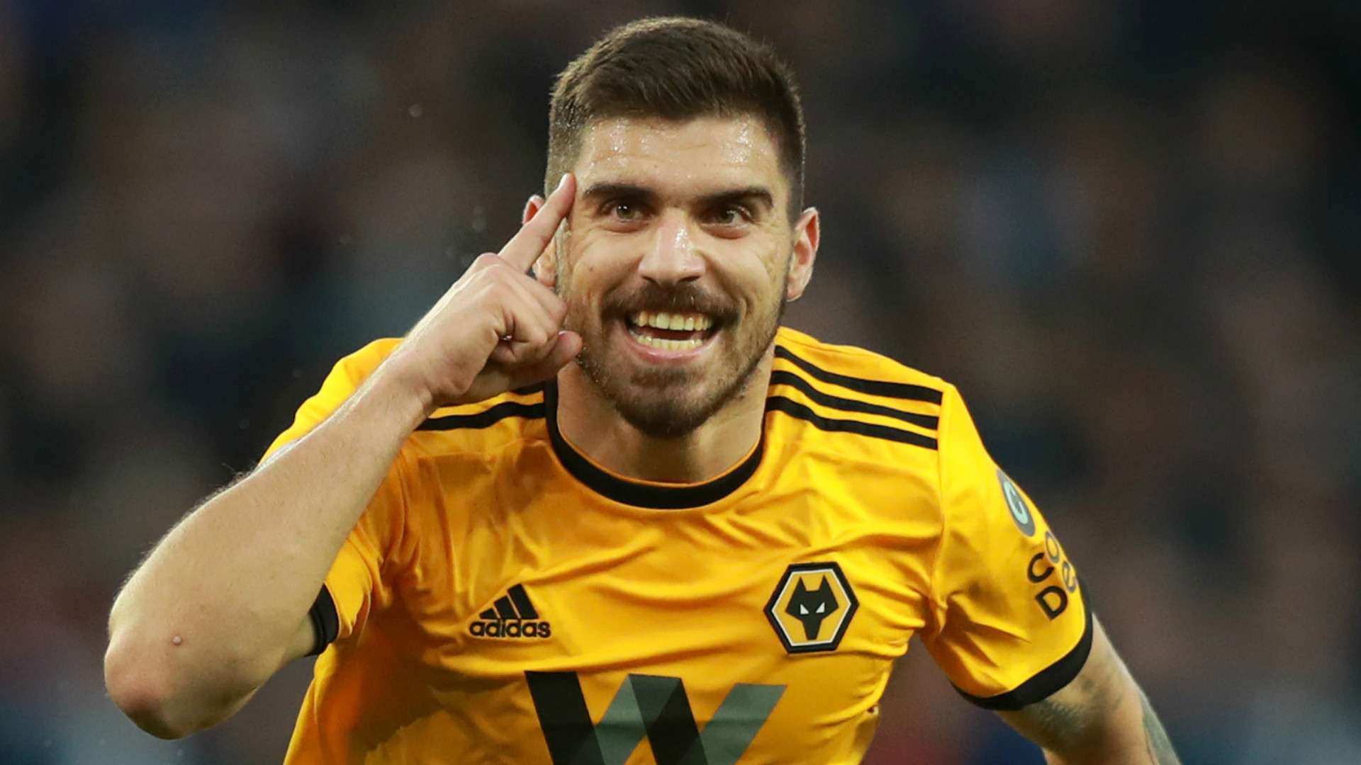 Ruben Neves Wolves 2018-19