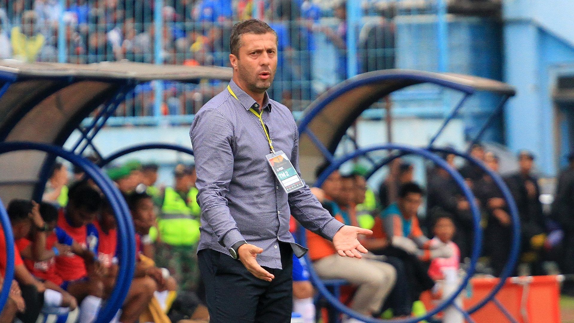 Miljan Radovic - Persib Bandung