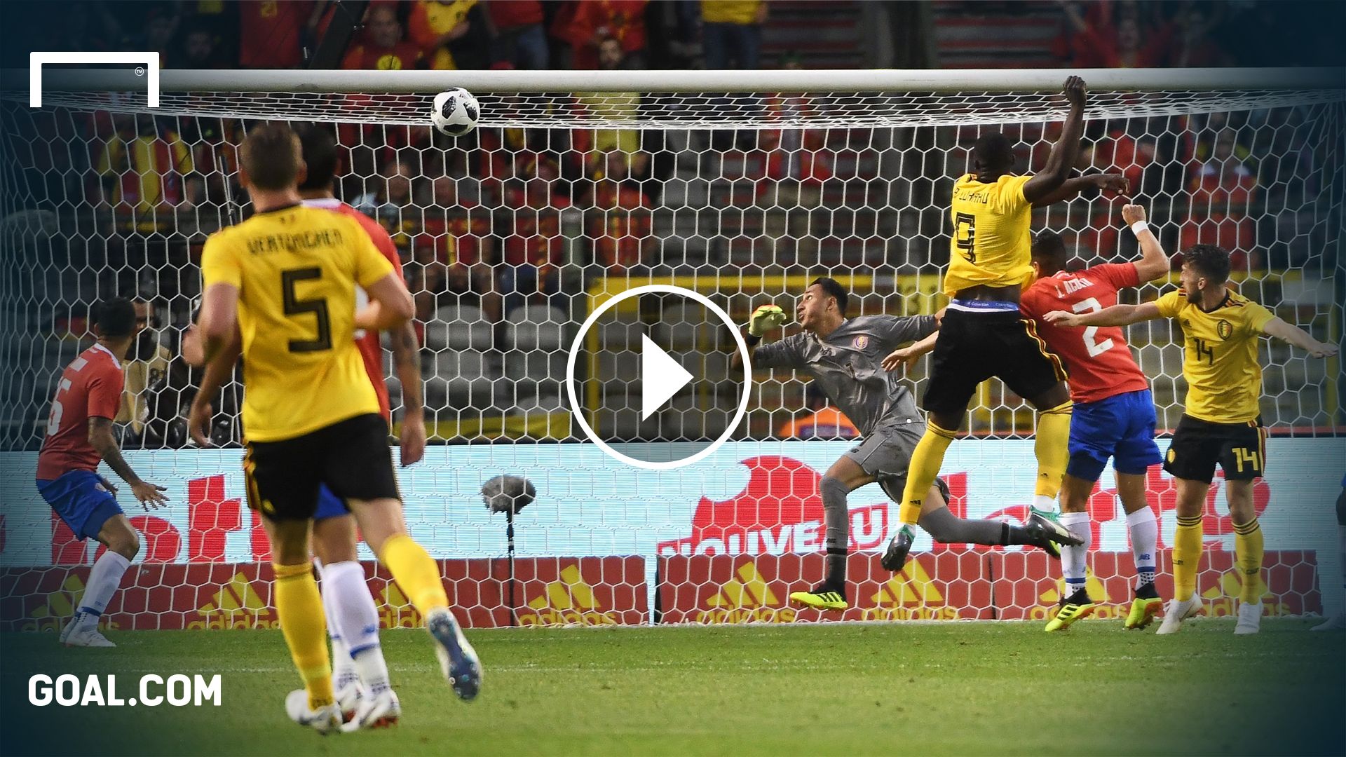 Belgien Costa Rica Friendly 11062018