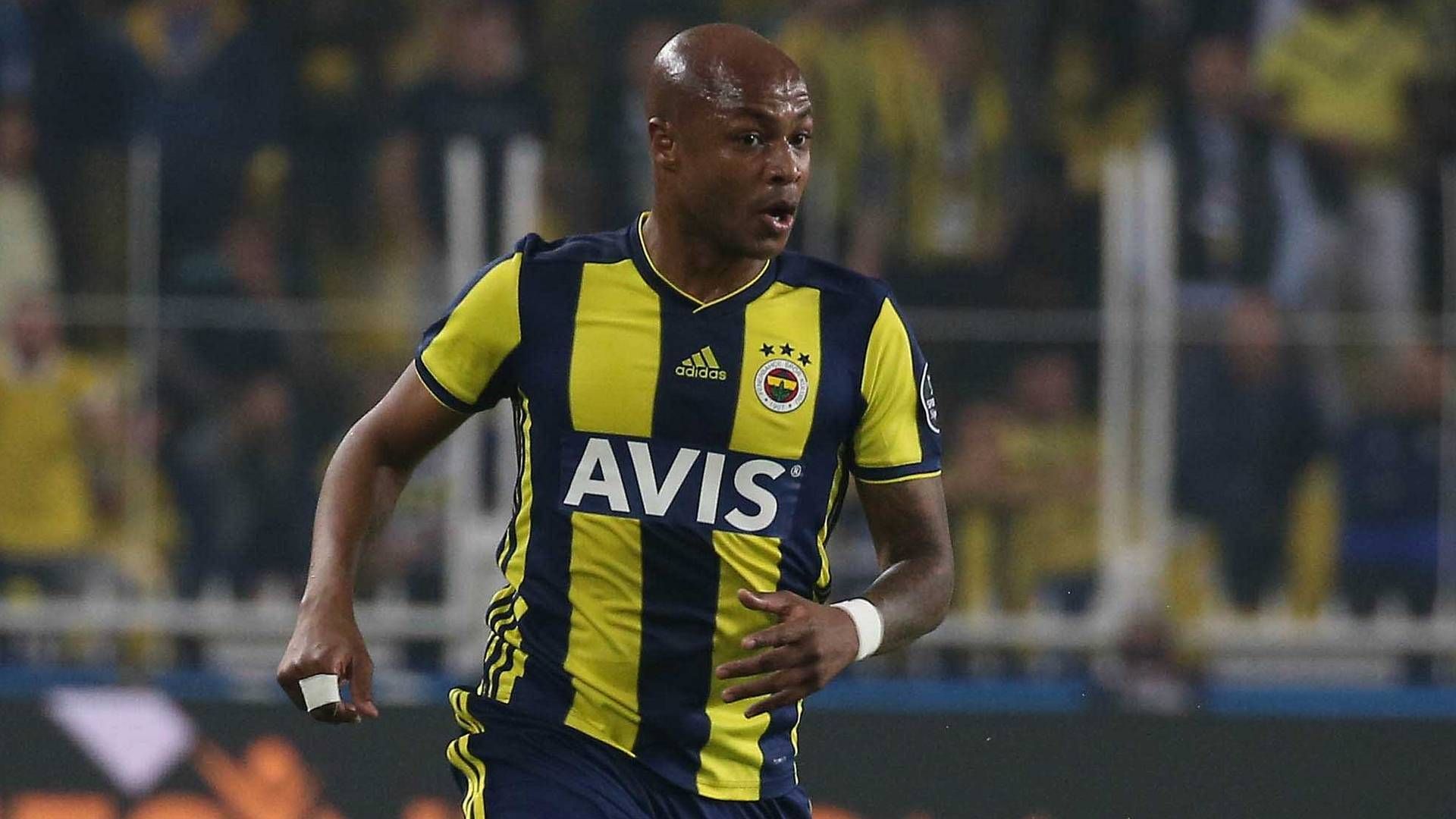 Andre Ayew Fenerbahce