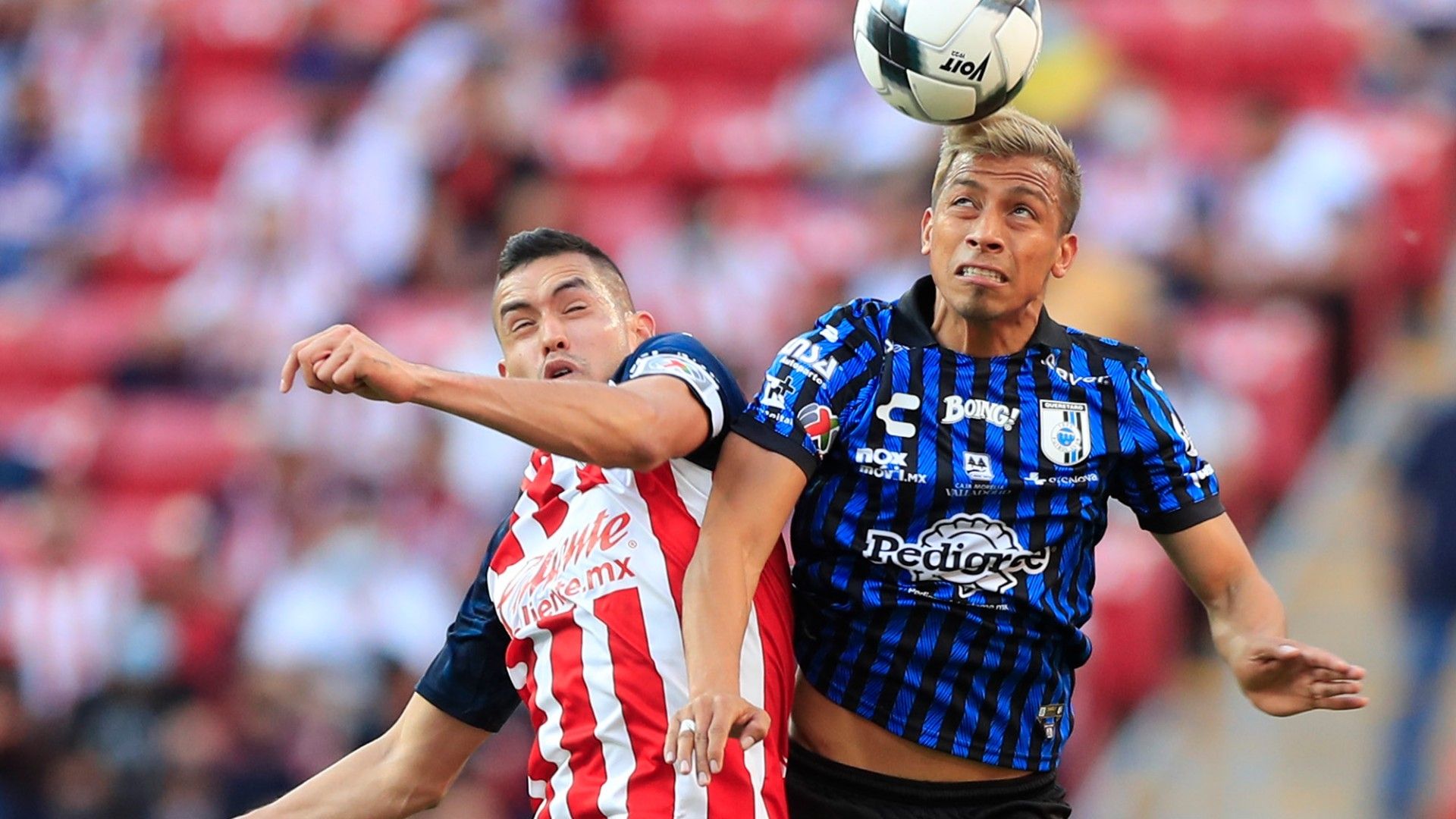 Sergio Flores Ángel Sepúlveda Chivas Querétaro Clausura 2022