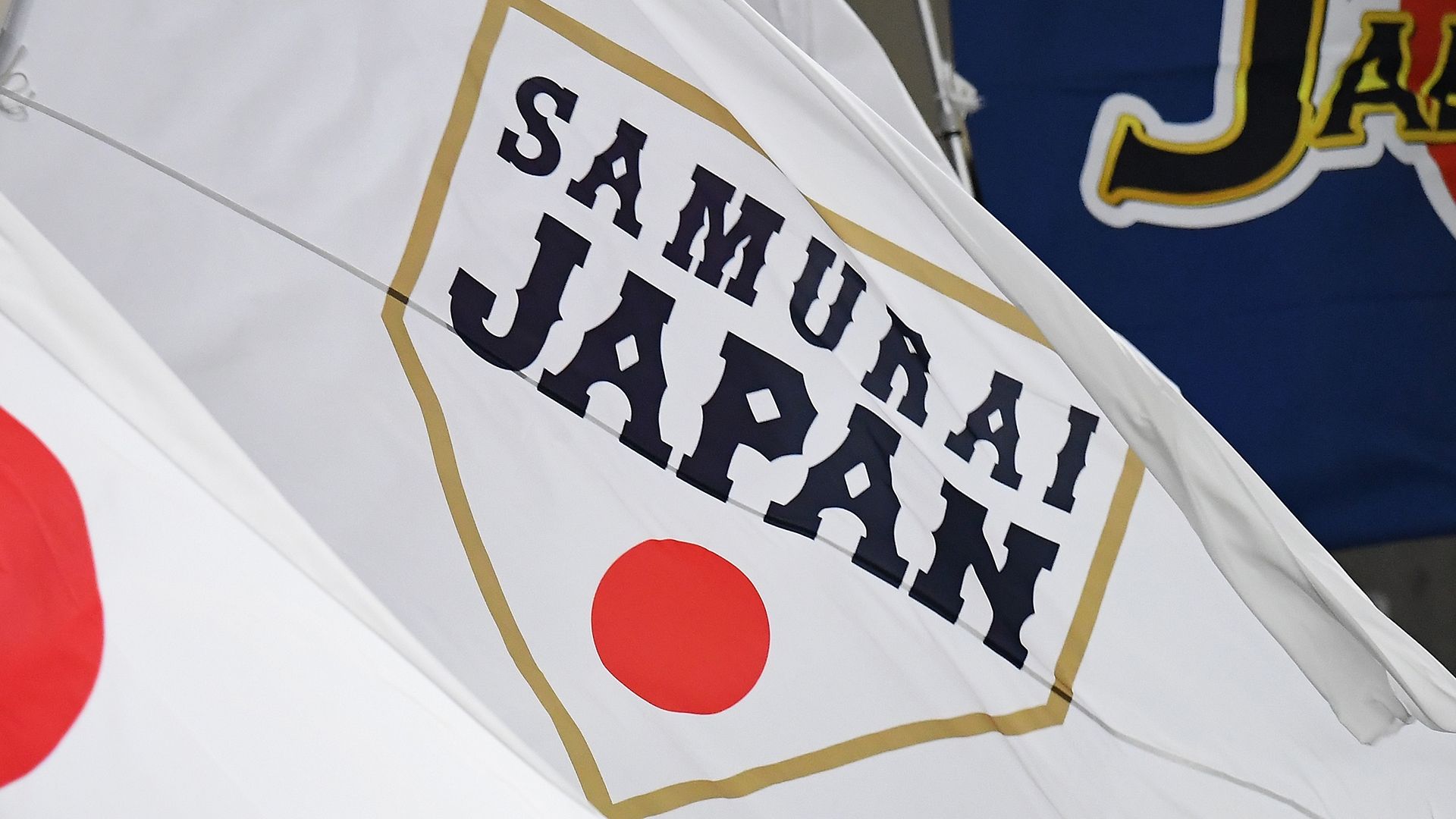 20230828_Japan_Baseball