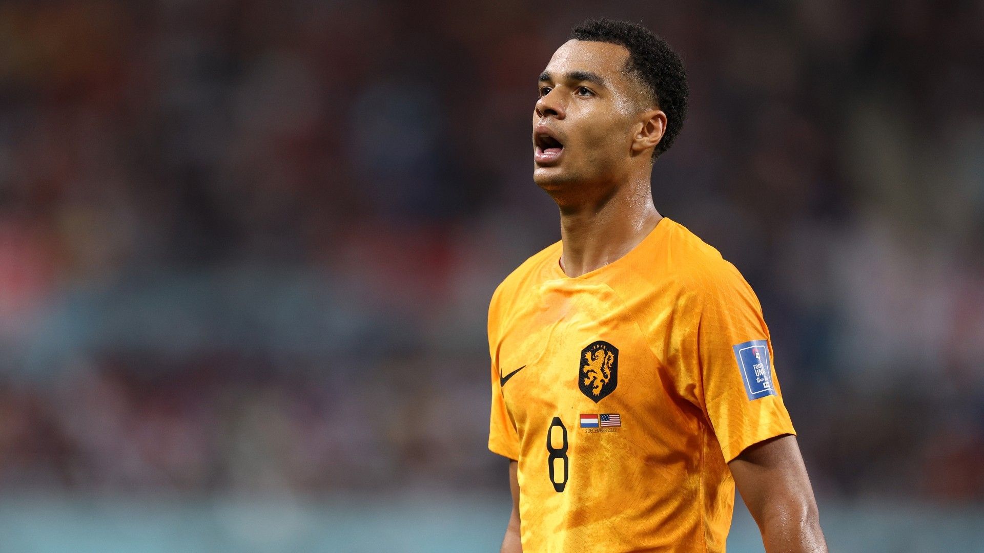 Cody Gakpo of Netherlands