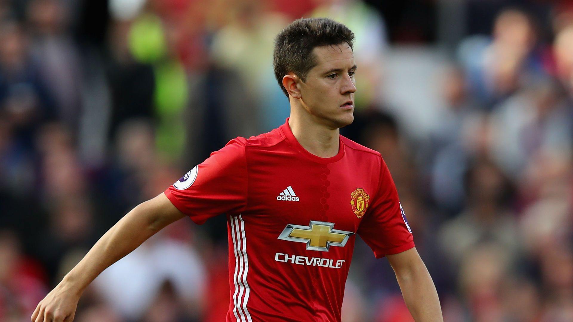 anderherrera - cropped