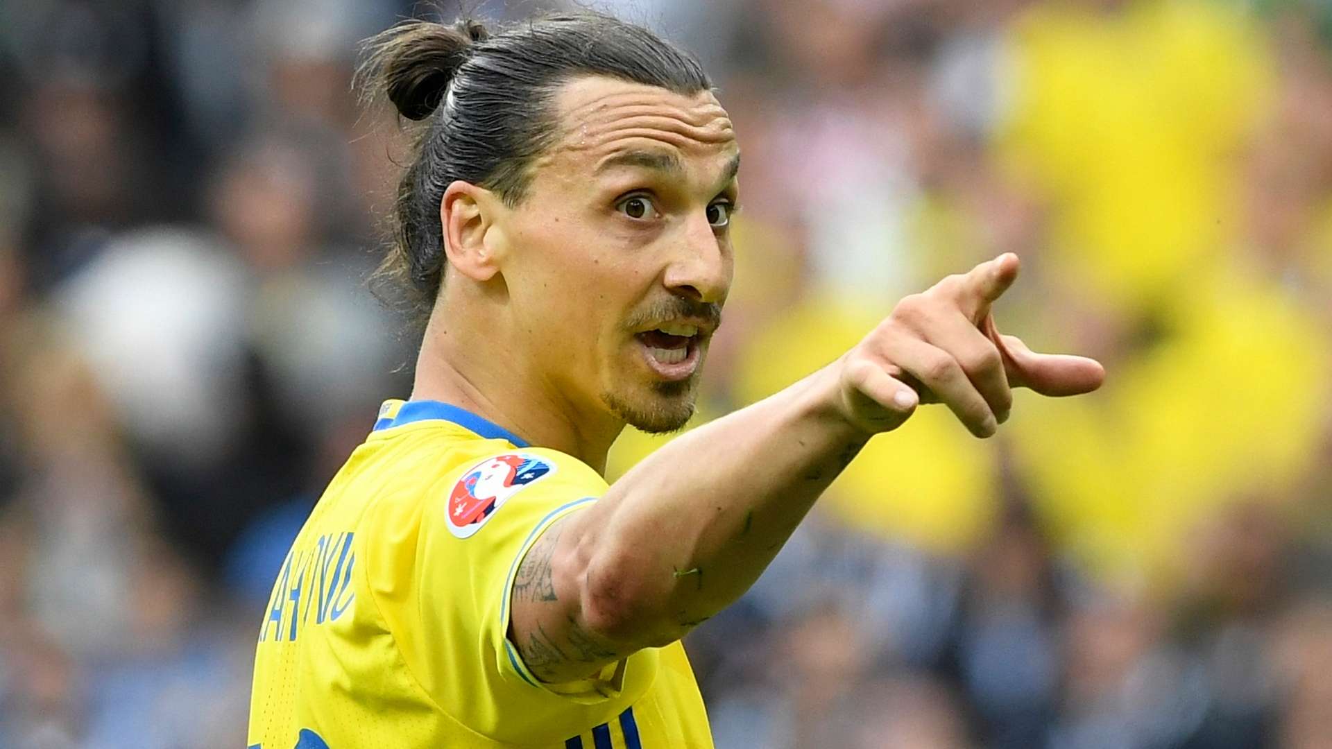 Zlatan Ibrahimovic Sweden