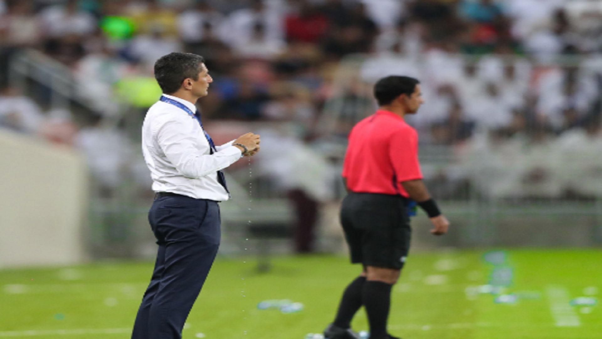 رازفان لوشيسكو