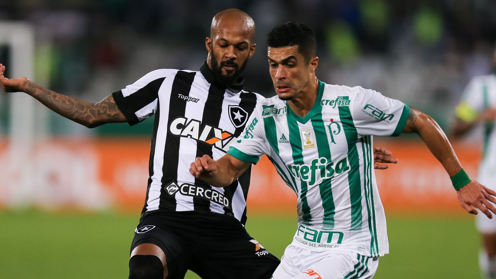 Egidio Bruno Silva Botafogo Palmeiras Brasileirao Serie A 02082017