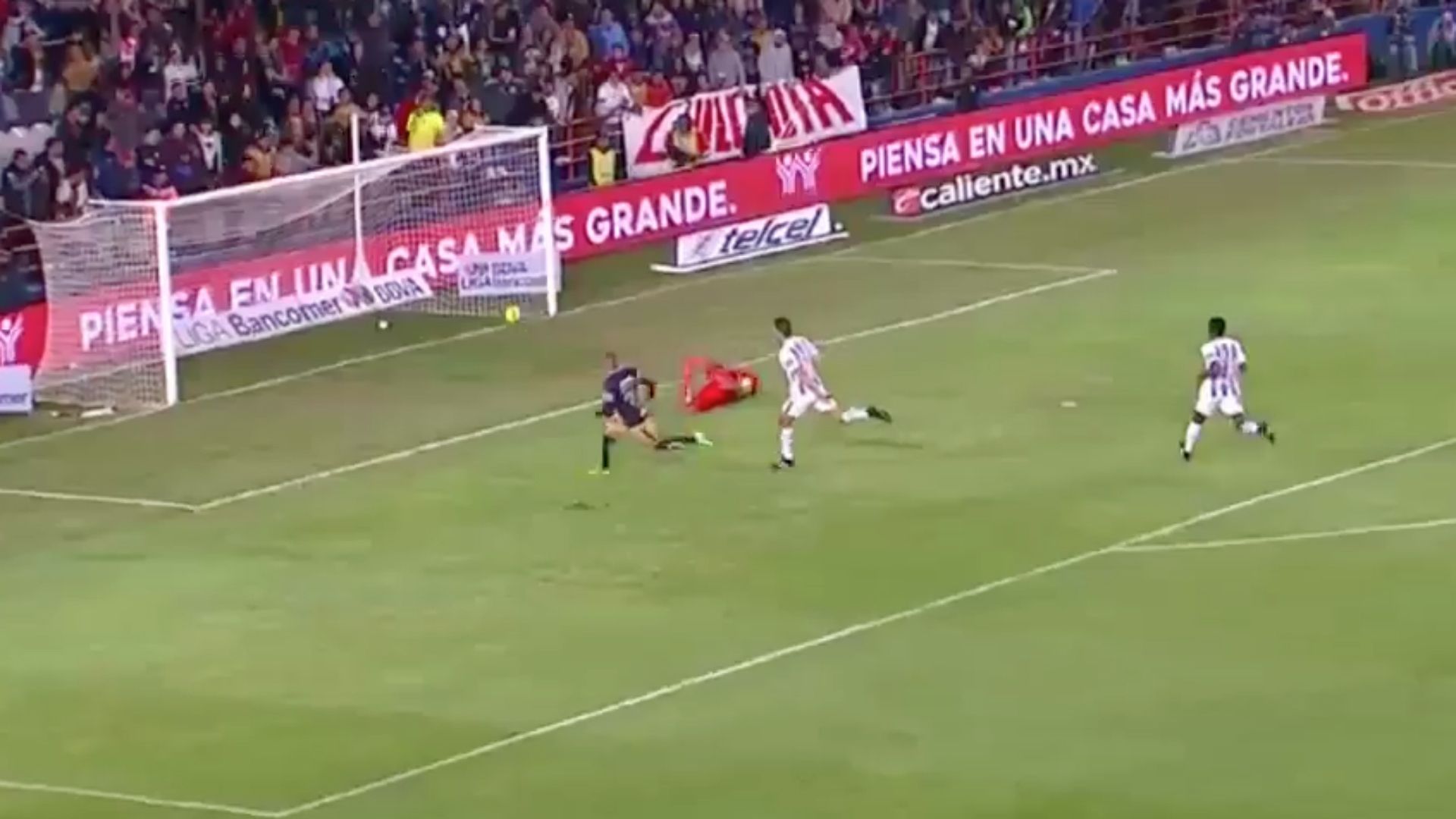 Nico Castillo gol