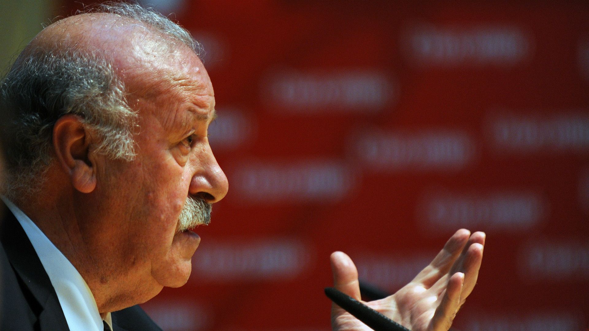 Vicente del Bosque Spain