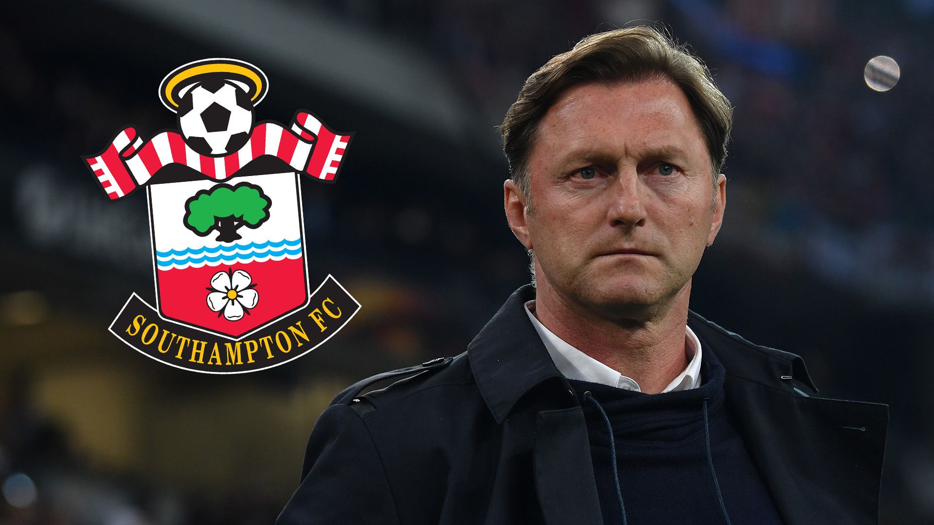 Ralph Hasenhuttl Southampton GFX