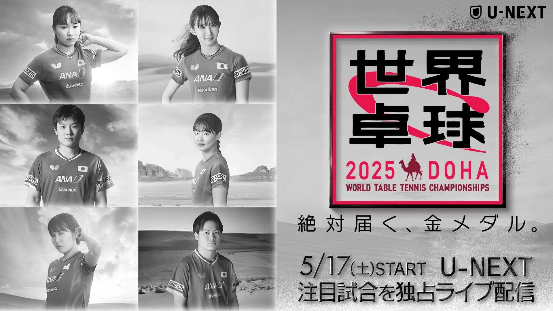world table tennis 2025 doha u-next