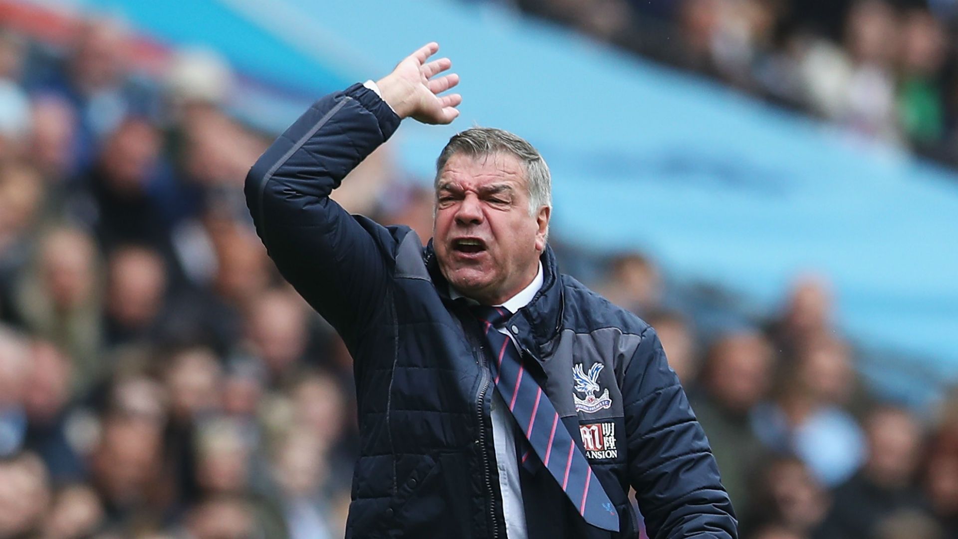 Sam Allardyce Crystal Palace