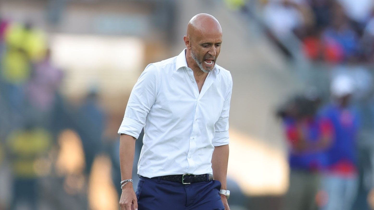 Miguel Cardoso, Mamelodi Sundowns, August 2025