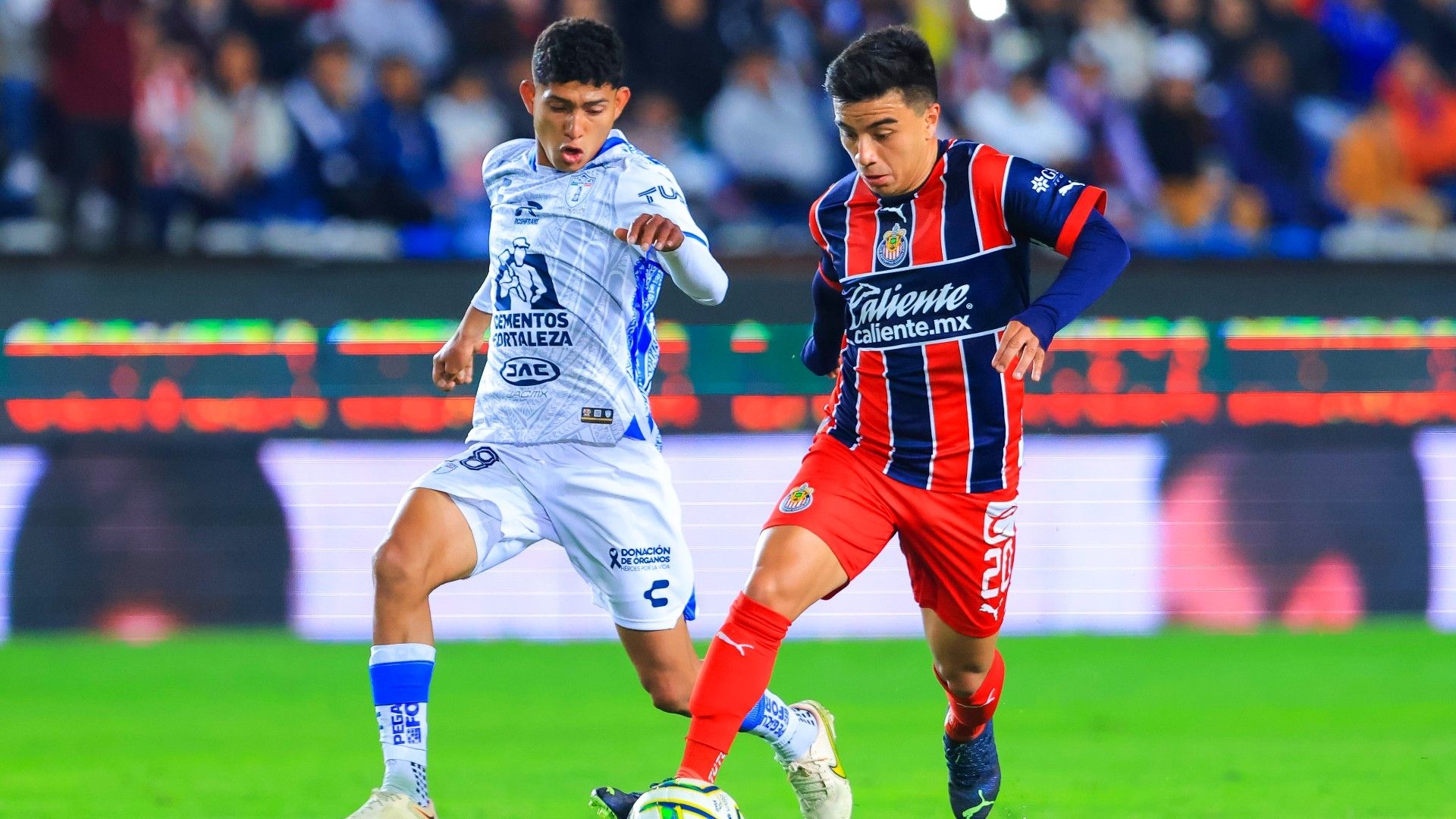 Jesús Hernández Fernando Beltrán Pachuca Chivas Clausura 2023