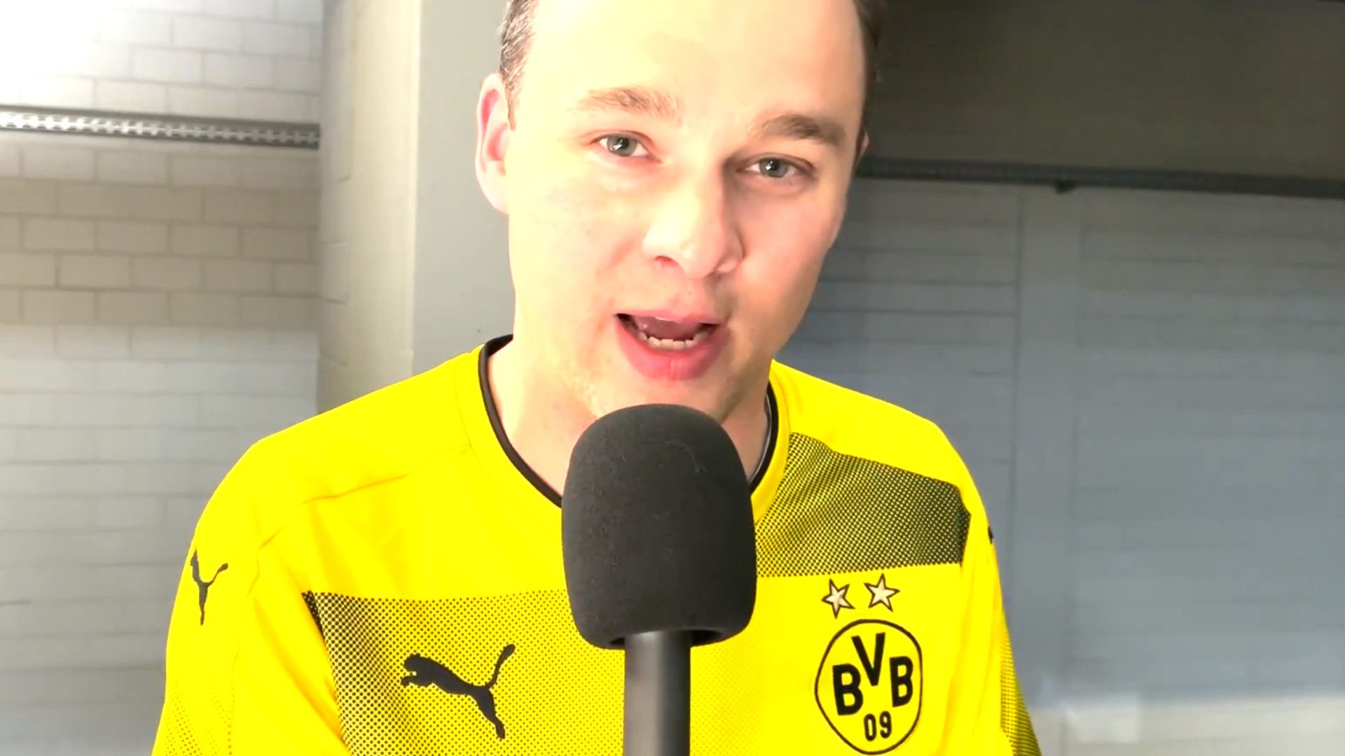 GFX DORTMUND FANS