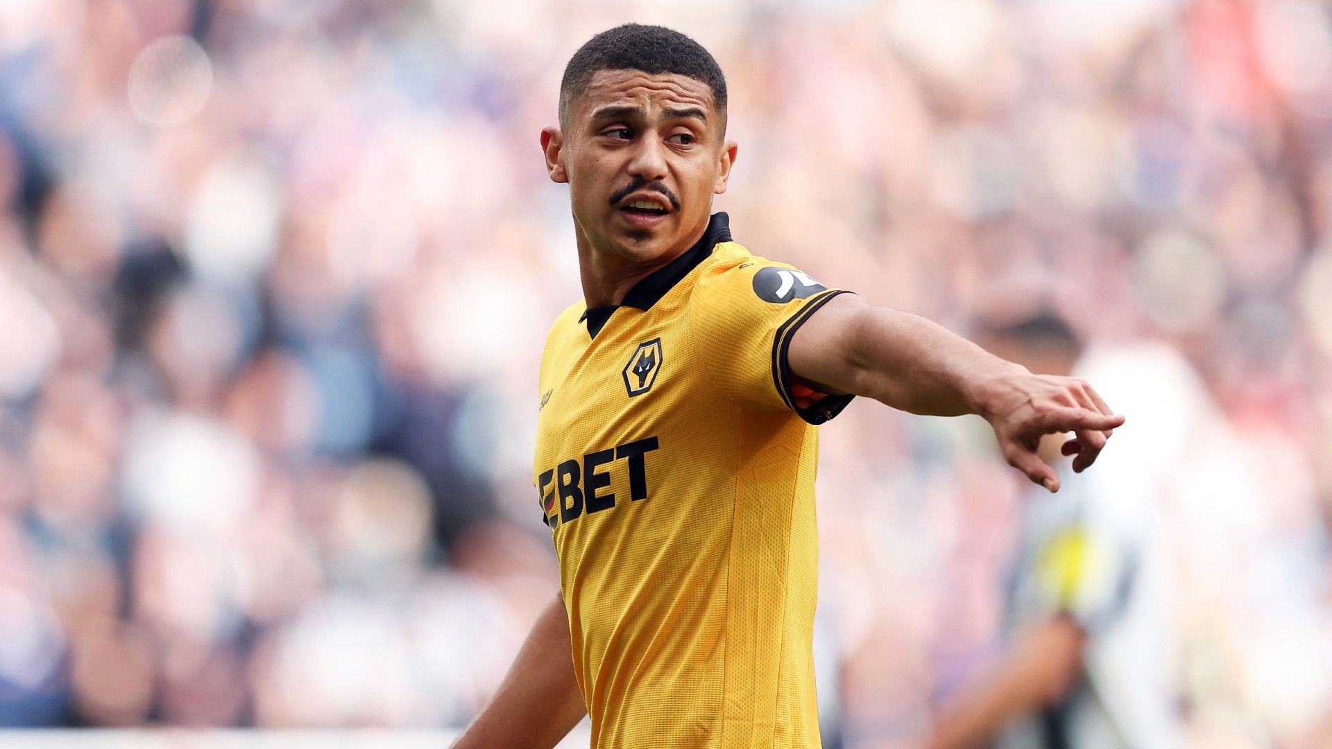 andre-wolves-brazil-20250913