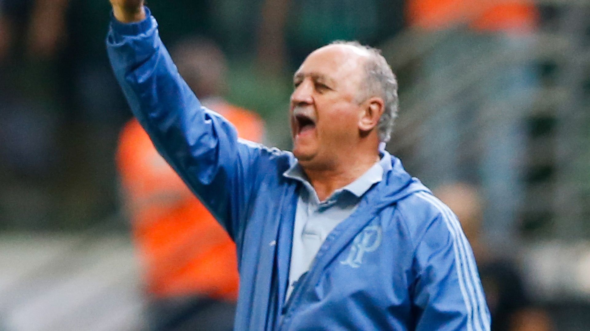 Felipao Scolari Palmeiras América-MG Brasileirão Série A 21112018