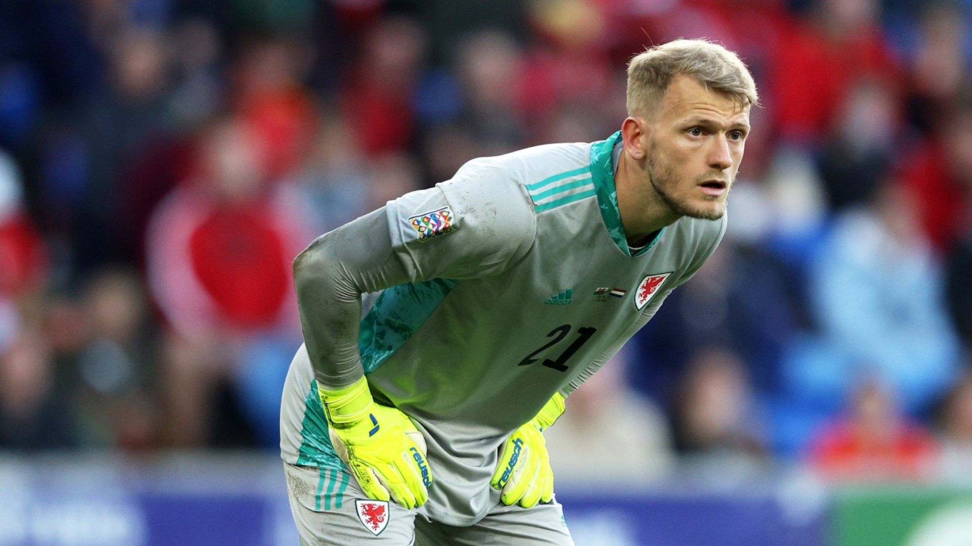 ウェールズ代表　ワールドカップ 2023 ジャージ ウェールズ代表 ワールドカップ 2023 ジャージ ウェールズ代表