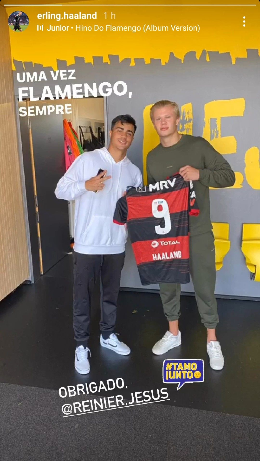 Reinier Erling Haaland Flamengo