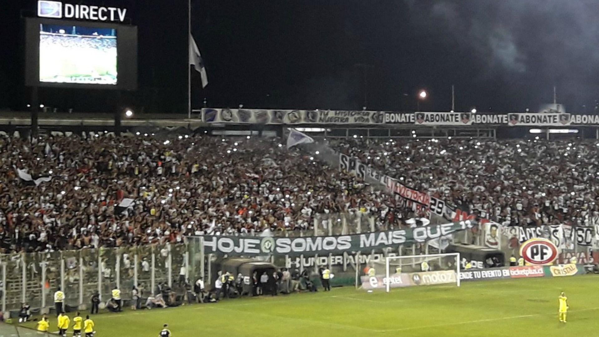 Colo Colo Garra Blanca