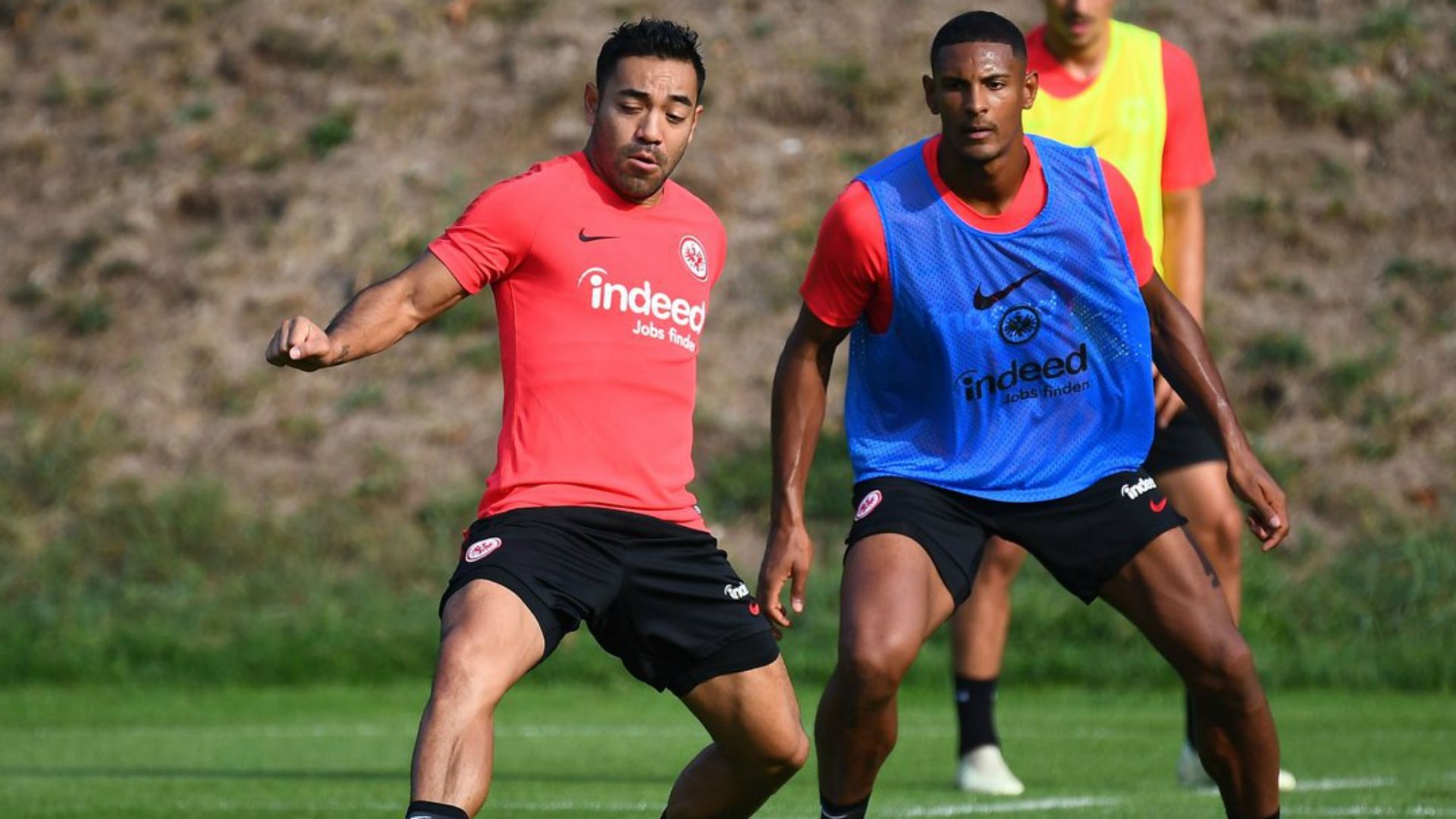 Marco Fabián Eintracht Frankfurt