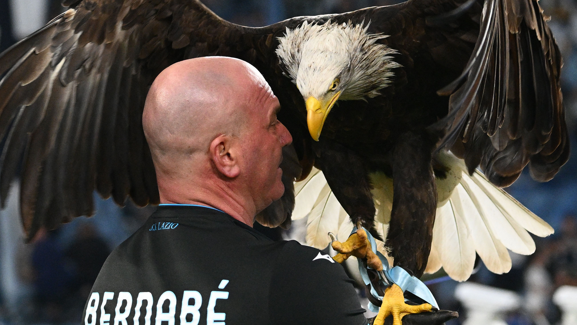 Lazio Fires Falconer Juan Bernabe After Controversial Social Media Posts