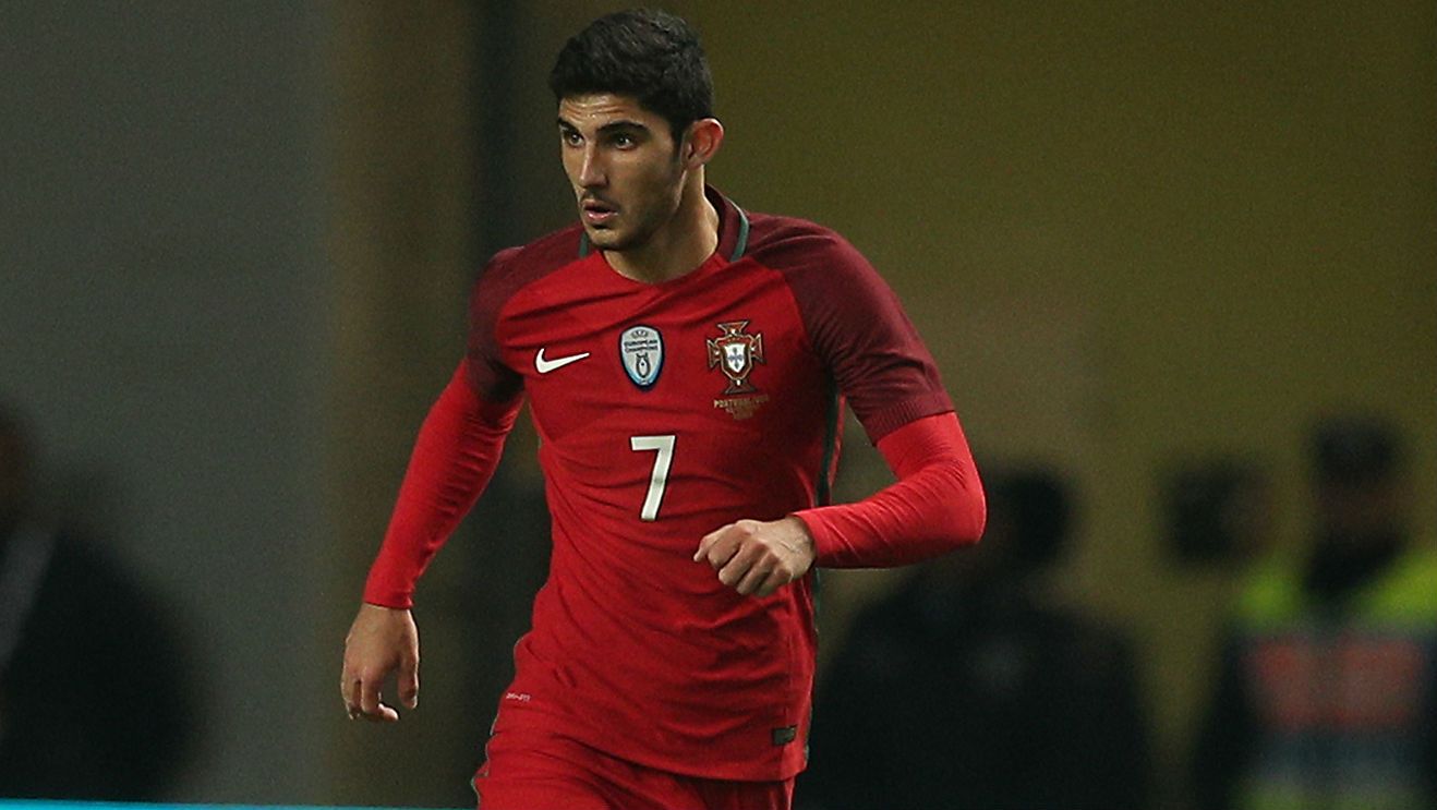 Goncalo Guedes Portugal