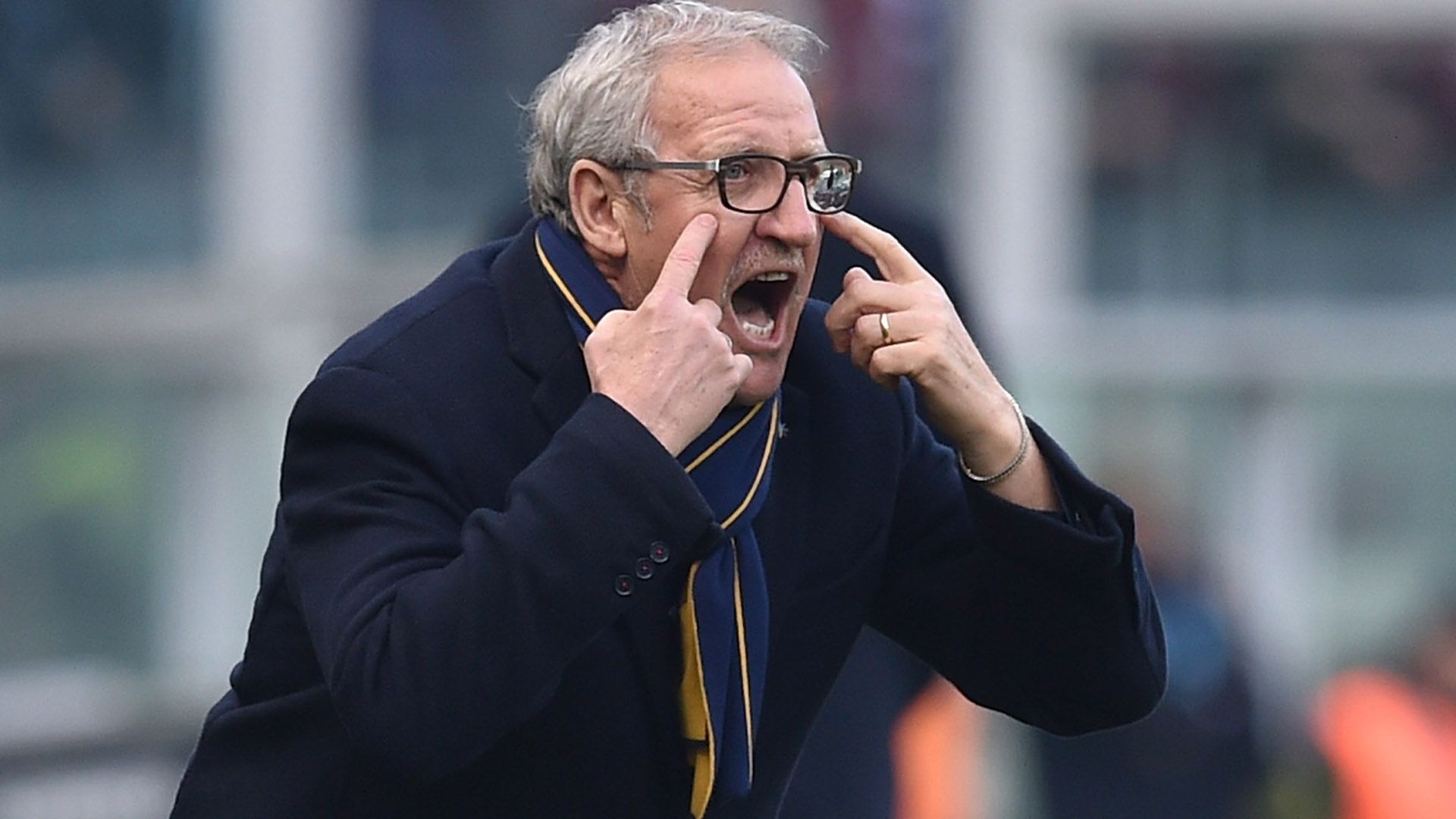 Gigi Delneri Verona
