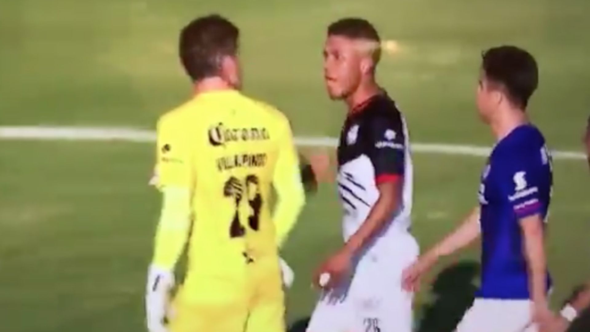 Lobos BUAP